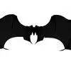 A pair of bat wings on a white background.