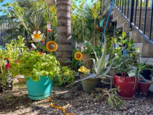 Potted plants in front of a stairway.