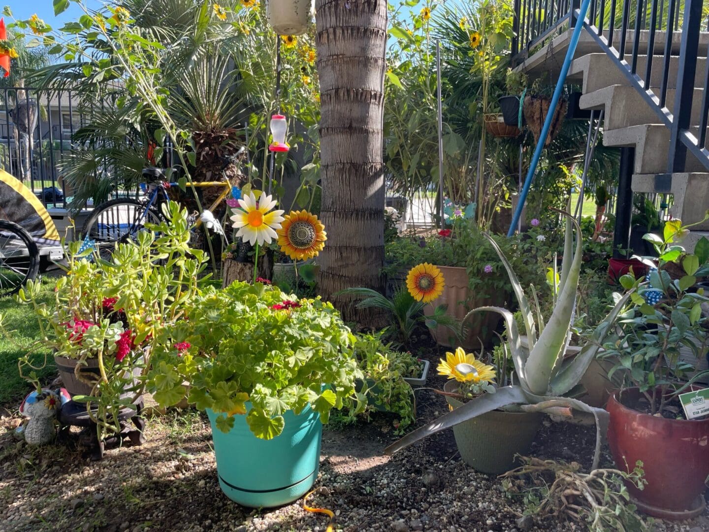 A garden with flowers, plants, and a tree.